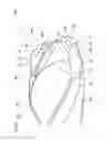 Fig. 06 - Drill