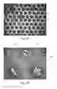 Fig. 05 - MICROSTRUCTURE ARRANGEMENT FOR GRIPPING LOW COEFFICIENT OF FRICTION MATERIALS