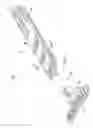Fig. 02 - Handle for a razor
