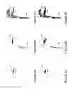 Fig. 06 - DELIVERY OF PARTICLES USING HYGROSCOPIC EXCIPIENTS