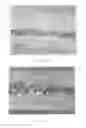 Fig. 07 - Moulding material for composite panels