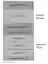 Fig. 01 - Multilayer Films and Methods Thereof