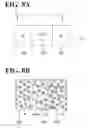 Fig. 09 - Method for forming a three-dimensional object