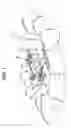 Fig. 02 - Knee braces for boats