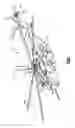 Fig. 02 - Bond fixture for leading edge assembly
