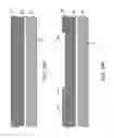 Fig. 49 - Encapsulated microelectromechanical structure