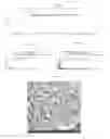 Fig. 07 - Methods and systems for carbon nanofiber production