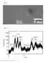 Fig. 02 - Process for producing crystalline tantalum oxide particles