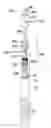 Fig. 01 - LIQUID CONTAINERS HAVING FILTERS AND RELATED METHODS