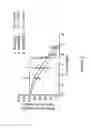 Fig. 04 - Piperazine derivatives for treating disorders