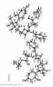 Fig. 11 - NUCLEOSIDE PHOSPHORAMIDATES