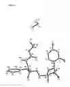 Fig. 12 - NUCLEOSIDE PHOSPHORAMIDATES