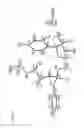 Fig. 13 - NUCLEOSIDE PHOSPHORAMIDATES