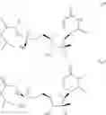Fig. 23 - NUCLEOSIDE PHOSPHORAMIDATES