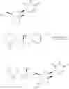 Fig. 31 - NUCLEOSIDE PHOSPHORAMIDATES
