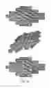 Fig. 09 - Single-stranded DNA nanostructures