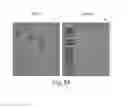 Fig. 45 - Single-stranded DNA nanostructures