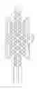 Fig. 46 - Single-stranded DNA nanostructures