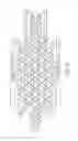Fig. 47 - Single-stranded DNA nanostructures