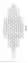 Fig. 48 - Single-stranded DNA nanostructures