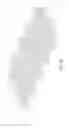 Fig. 49 - Single-stranded DNA nanostructures