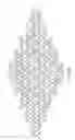 Fig. 52 - Single-stranded DNA nanostructures