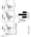 Fig. 08 - METHODS AND COMPOSITIONS TO REDUCE PEANUT-INDUCED ANAPHYLAXIS