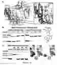 Fig. 06 - Methods and compositions involving protein G variants