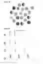 Fig. 03 - Minimally-invasive and activity-dependent control of excitable cells