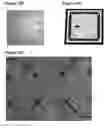 Fig. 12 - Minimally-invasive and activity-dependent control of excitable cells
