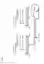 Fig. 02 - Immunoglobulin G-binding peptide
