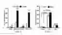 Fig. 07 - INTEGRIN-TARGETING PROTEIN AND METHODS OF USE THEREOF