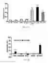 Fig. 19 - INTEGRIN-TARGETING PROTEIN AND METHODS OF USE THEREOF