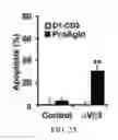 Fig. 20 - INTEGRIN-TARGETING PROTEIN AND METHODS OF USE THEREOF