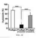 Fig. 23 - INTEGRIN-TARGETING PROTEIN AND METHODS OF USE THEREOF