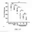 Fig. 28 - INTEGRIN-TARGETING PROTEIN AND METHODS OF USE THEREOF