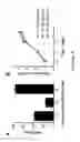 Fig. 07 - Method for production of heparin and heparan sulfate