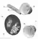 Fig. 01 - Composite material