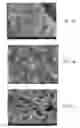 Fig. 02 - Method of co-processing nanocarbons in carbon black, and products therefrom
