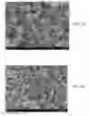 Fig. 08 - Method of co-processing nanocarbons in carbon black, and products therefrom