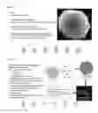 Fig. 07 - SURFACE-MODIFIED MACROPHAGES FOR CELL-BASED DELIVERY