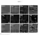 Fig. 09 - CONTRACTILE CELLULAR CONSTRUCT FOR CELL CULTURE