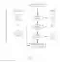 Fig. 02 - PRODUCTION OF INSULIN PRODUCING CELLS