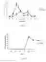 Fig. 20 - PRODUCTION OF INSULIN PRODUCING CELLS