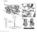 Fig. 04 - Non-neuroinvasive viruses and uses thereof