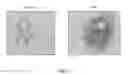 Fig. 07 - PIV5-based amplifying virus-like particles