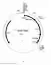 Fig. 08 - UDP-glycosyltransferases
