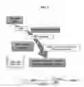 Fig. 02 - Genome-originated artificial ncRNA expression library and method of preparing the same