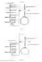 Fig. 02 - Method for constructing nucleic acid single-stranded cyclic library and reagents thereof