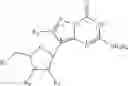 Fig. 08 - DOUBLE-STRANDED OLIGONUCLEOTIDE MOLECULES TO P53 AND METHODS OF USE THEREOF